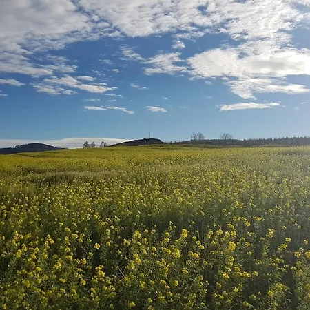 With 2 Bedrooms Semesterbostad *