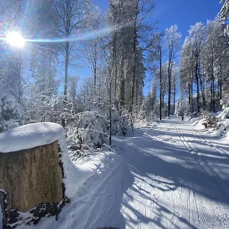 With 2 Bedrooms Semesterbostad Winterberg