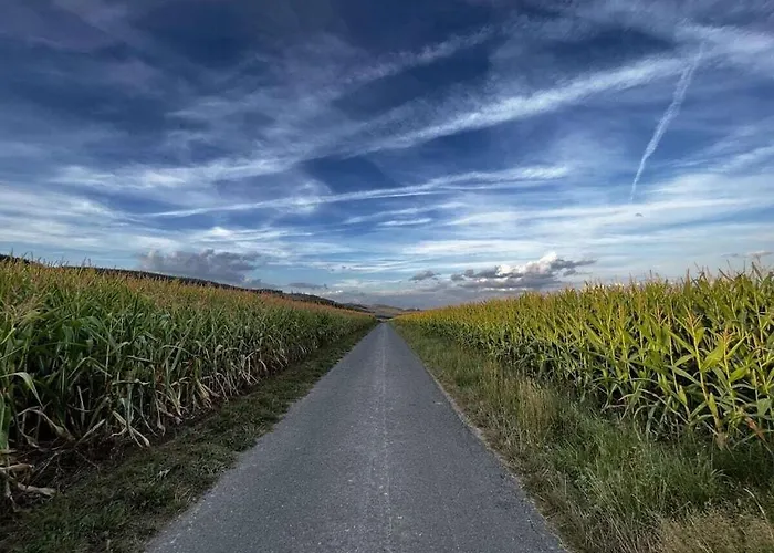 Casa vacanze With 2 Bedrooms Winterberg