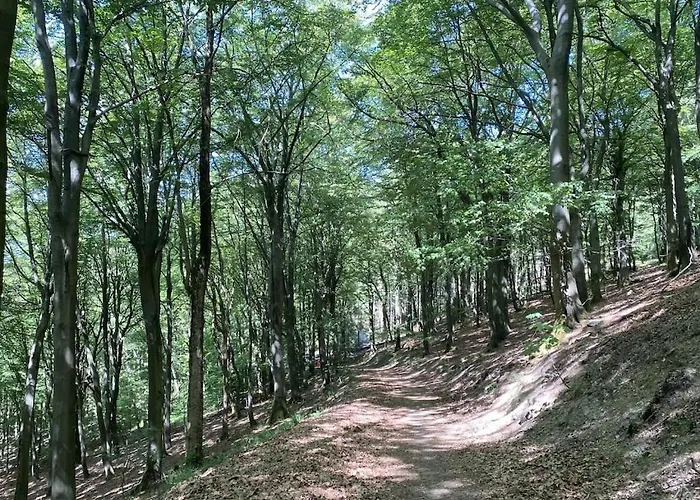 With 2 Bedrooms بيت للعطل *