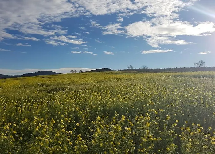 With 2 Bedrooms بيت للعطل *