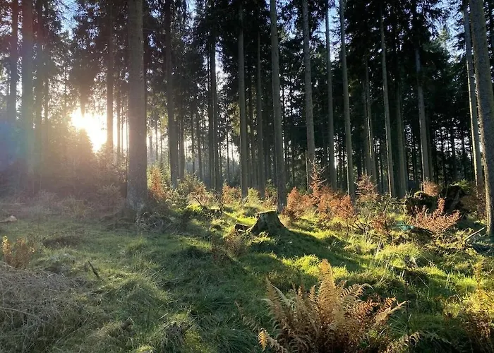 With 2 Bedrooms بيت للعطل