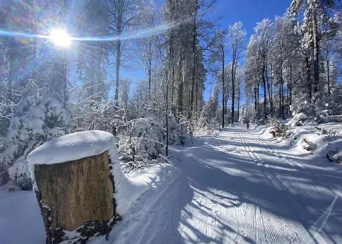 With 2 Bedrooms Casa vacanze Winterberg