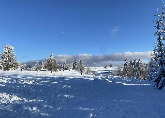 With 2 Bedrooms بيت للعطل وينتربرغ